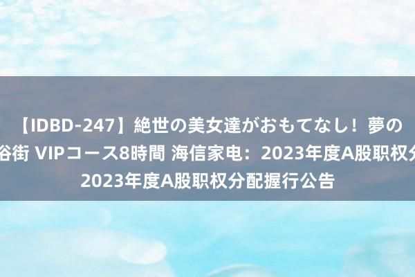 【IDBD-247】絶世の美女達がおもてなし！夢の桃源郷 IP風俗街 VIPコース8時間 海信家电：2023年度A股职权分配握行公告