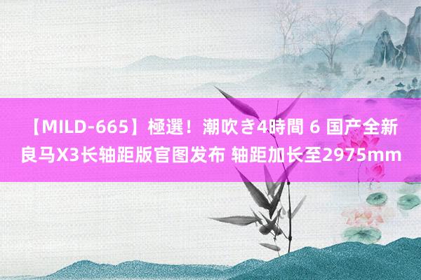 【MILD-665】極選！潮吹き4時間 6 国产全新良马X3长轴距版官图发布 轴距加长至2975mm