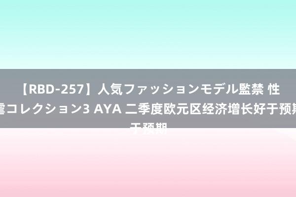 【RBD-257】人気ファッションモデル監禁 性虐コレクション3 AYA 二季度欧元区经济增长好于预期