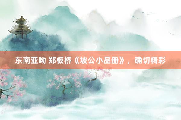 东南亚呦 郑板桥《坡公小品册》，确切精彩