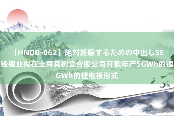 【HNDB-062】絶対妊娠するための中出しSEX！！ 赣锋锂业拟在土耳其树立合股公司开歉年产5GWh的锂电板形式