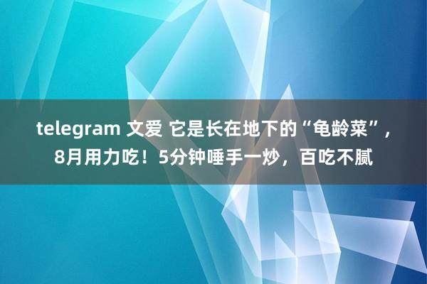 telegram 文爱 它是长在地下的“龟龄菜”，8月用力吃！5分钟唾手一炒，百吃不腻