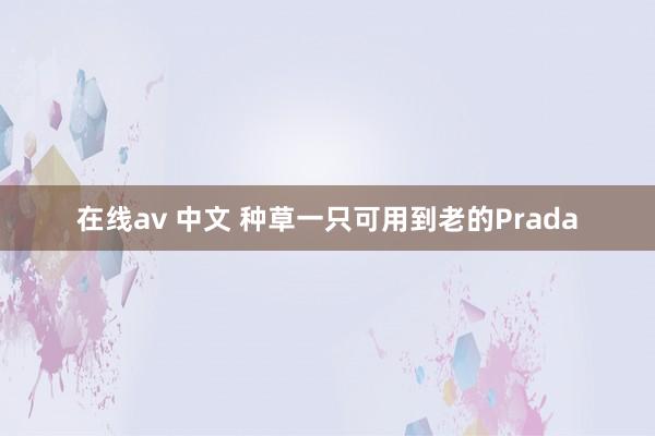 在线av 中文 种草一只可用到老的Prada