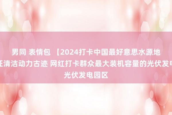 男同 表情包 【2024打卡中国最好意思水源地】见证清洁动力古迹 网红打卡群众最大装机容量的光伏发电园区