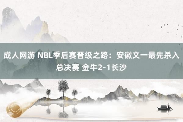 成人网游 NBL季后赛晋级之路：安徽文一最先杀入总决赛 金牛2-1长沙