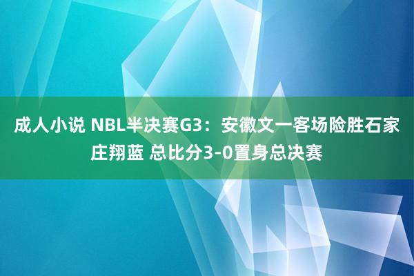 成人小说 NBL半决赛G3：安徽文一客场险胜石家庄翔蓝 总比分3-0置身总决赛