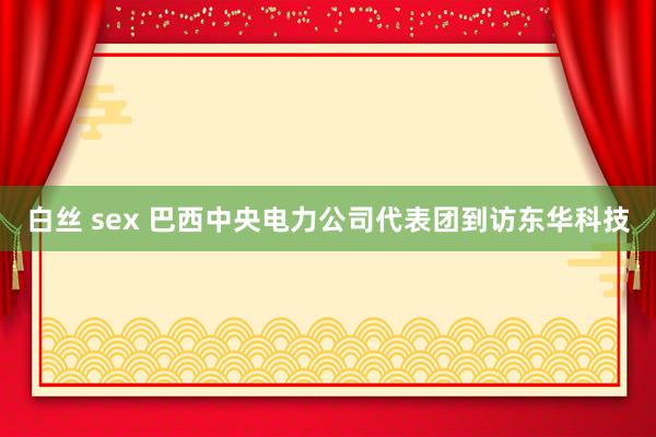 白丝 sex 巴西中央电力公司代表团到访东华科技