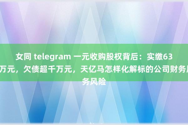 女同 telegram 一元收购股权背后：实缴637.5万元，欠债超千万元，天亿马怎样化解标的公司财务风险